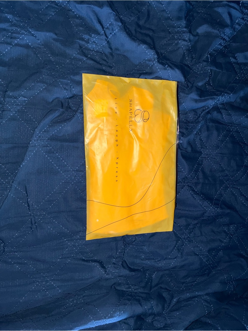 Shapellx Corset NWT
